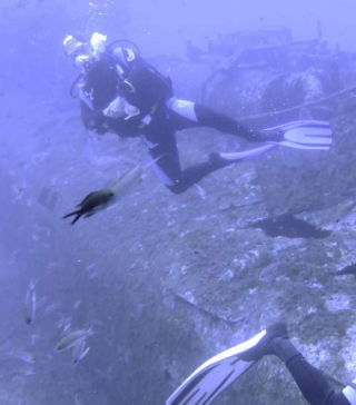 Descubrimiento de pecios 
